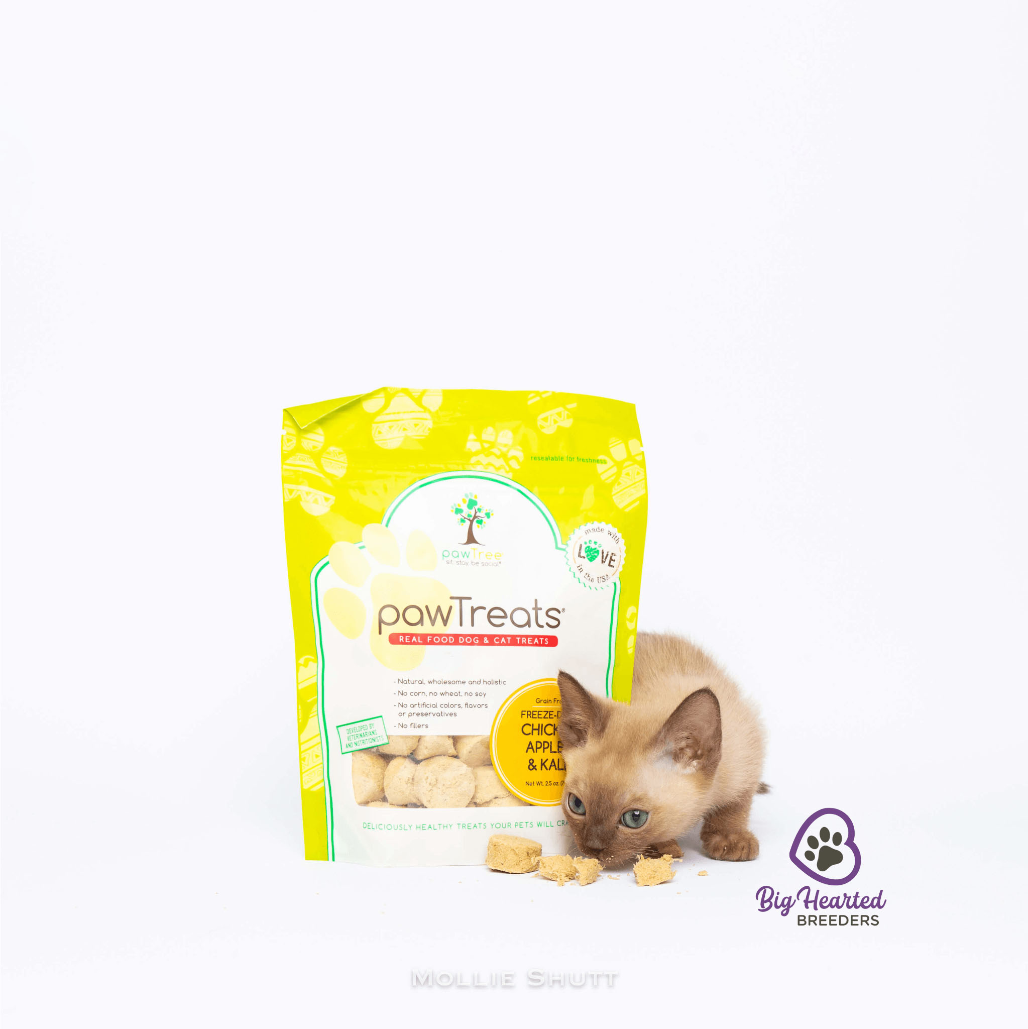 food for miniature golden retriever