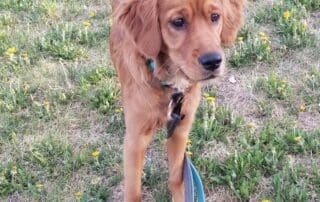 2023-05-23-b-at-the-park-2-20240227-0224