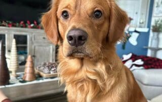 430240070-10100973568633136-3451487491700650914-n-20240228-1008