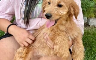 5b29ffbd-9010-4210-be33-0a4290f02190-20240227-0838