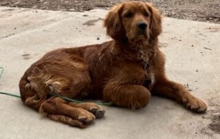 6456f47a-c2f6-4a48-a4cd-314bd97e6d34-20240227-0224