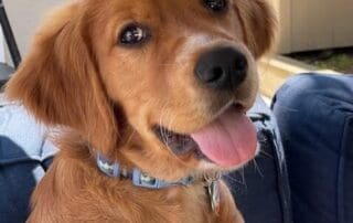 6b3de76b-32e1-47ba-9f5f-1d741704ba59-20240227-0224