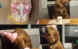 bligh-bday-cake-highlights-20240227-0225