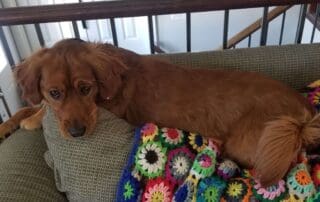 bligh-fall-2023-20240227-0225