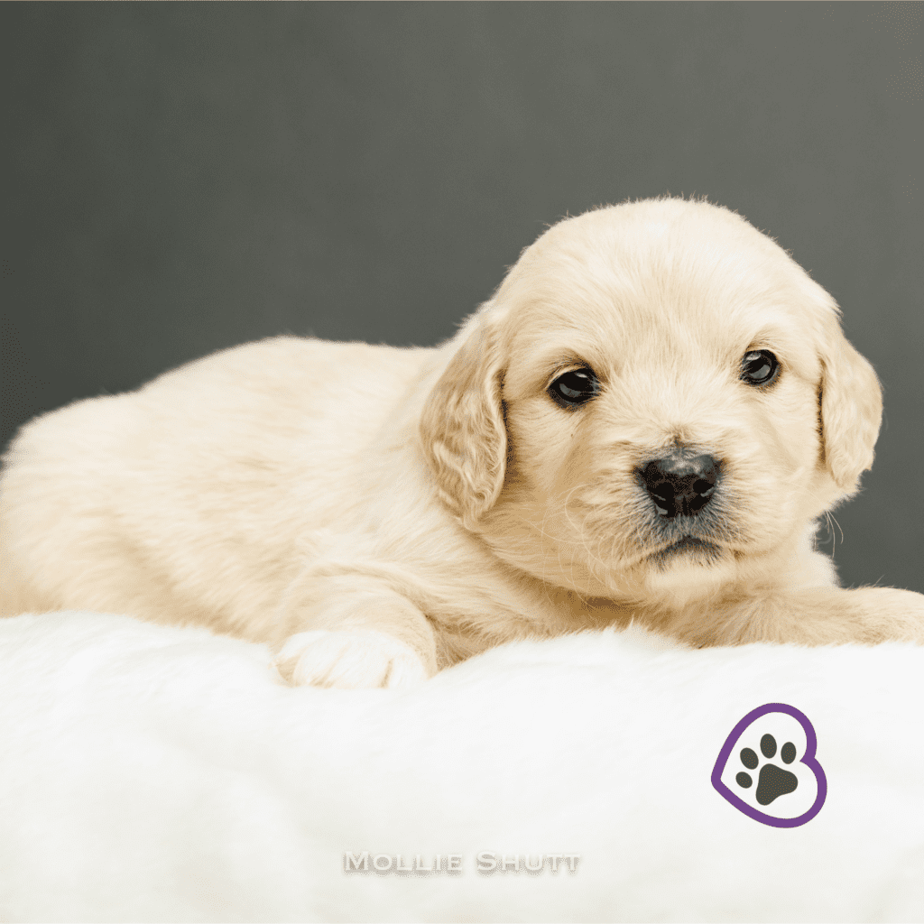 clarice-20240226-0956