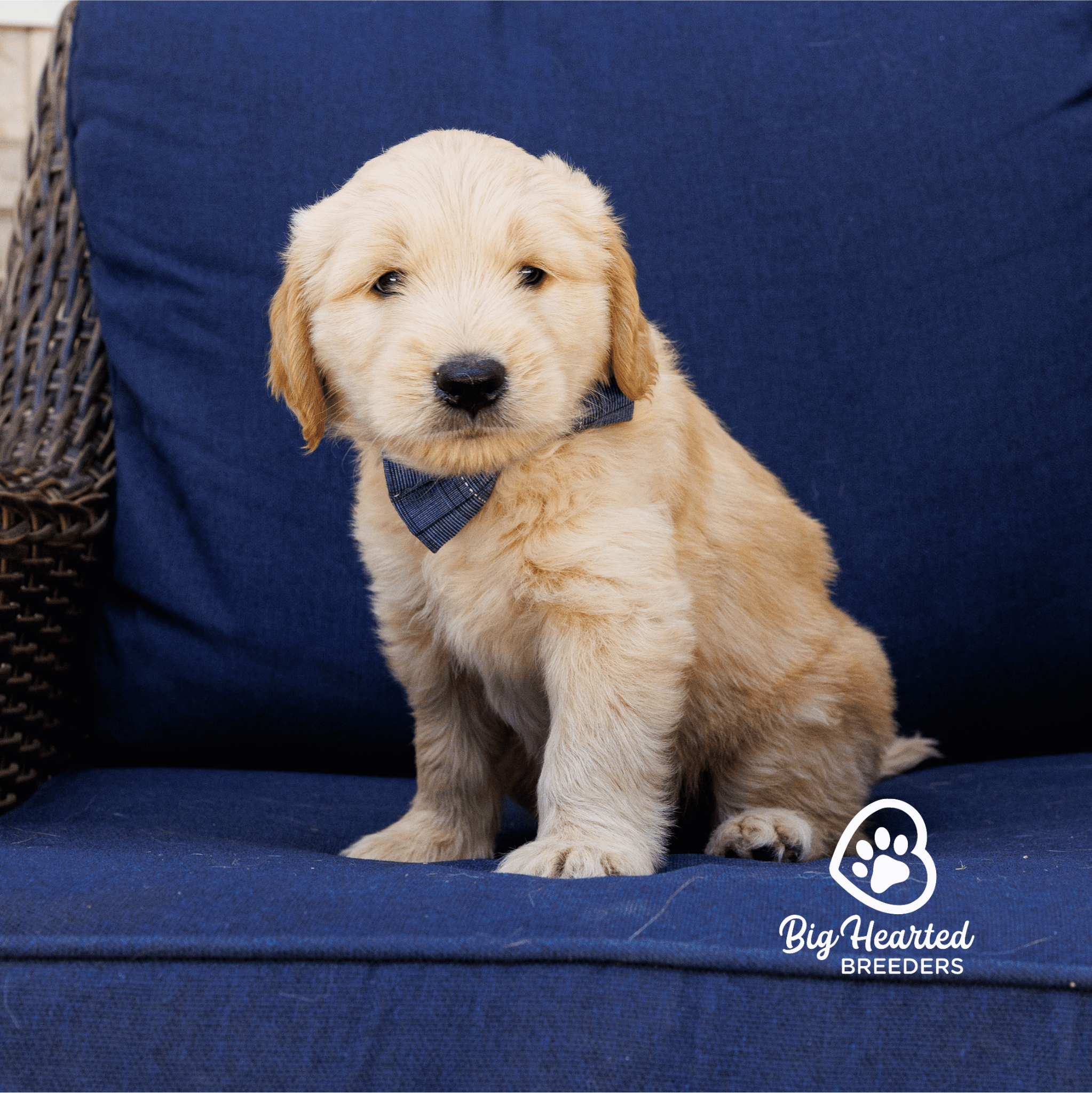 hiccup-20240808-0343