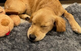 image4-2-20240228-1102