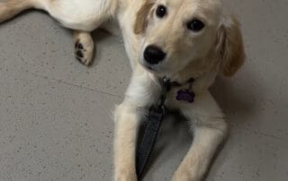 img-1720-20240228-1102