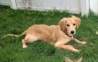 img-20231005-140746871-hdr-2-20240227-0855