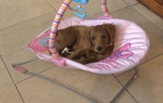 img-3825-20240227-0153