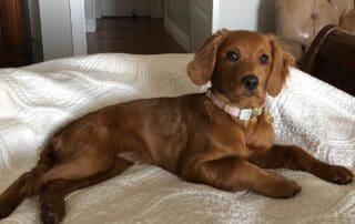 img-4027-20240227-0152