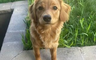 img-4565-2-20240227-0151