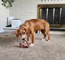 img-4658-2-20240227-0224