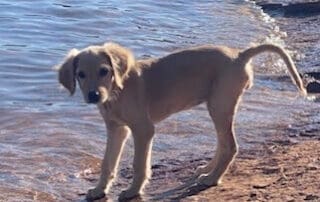 img-5470-20240227-0853