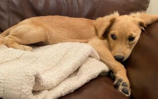 img-5472-20240227-0854