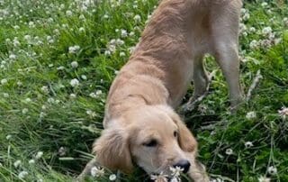 img-5473-20240227-0855