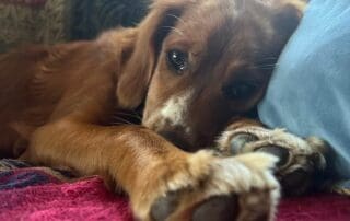 img-5474-20240227-0224