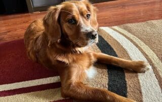 img-6136-20240227-0224