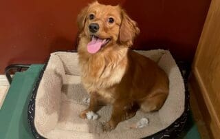 img-6376-20240227-0152