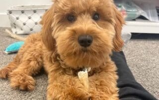 img-6884-20240227-0838