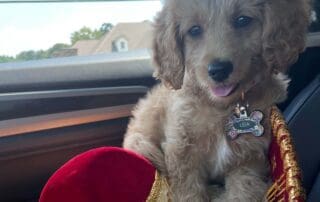 img-8103-20240227-0838