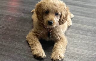 img-8124-20240227-0838