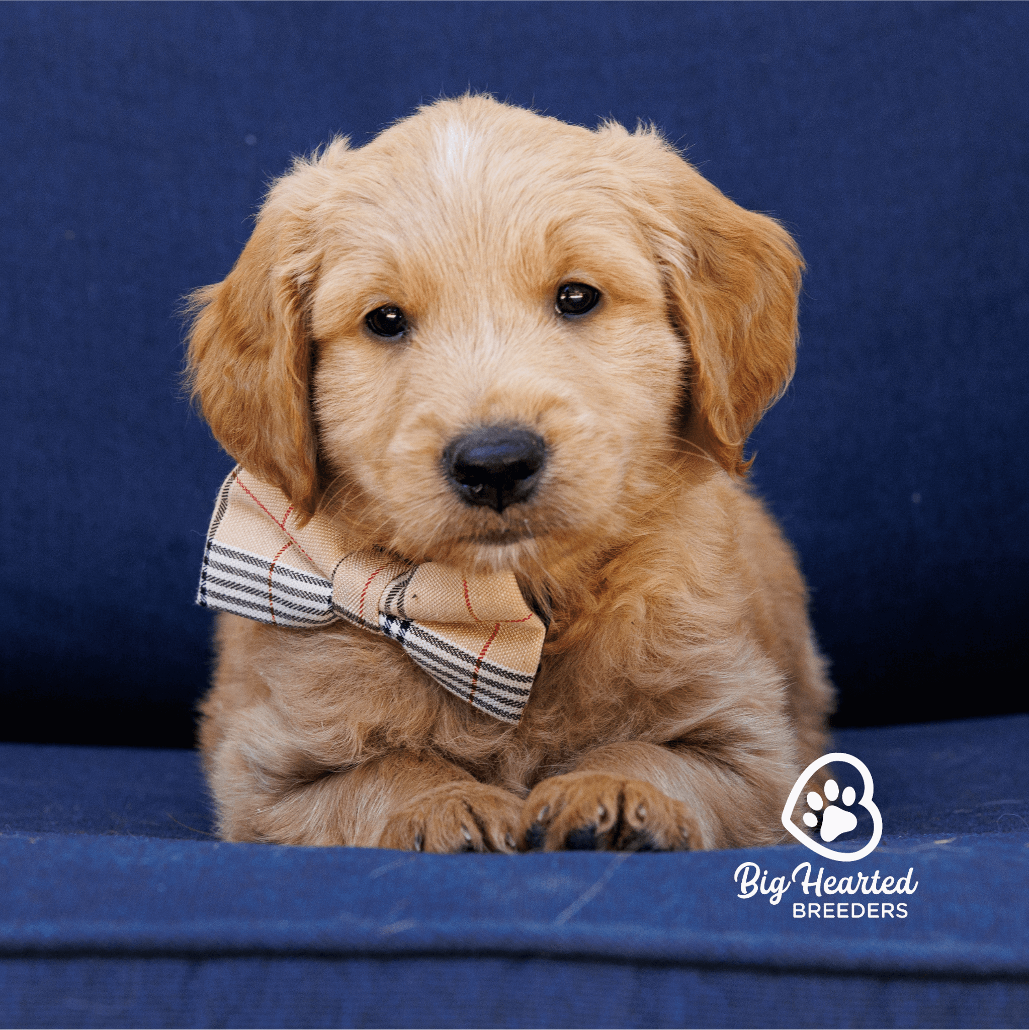 jack-20240808-0343