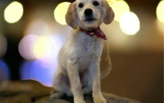 photoroom-20240204-114856-20240228-1102