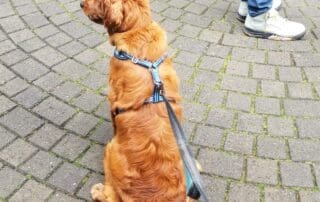 trip-to-british-columbia-summer-2023-20240227-0224