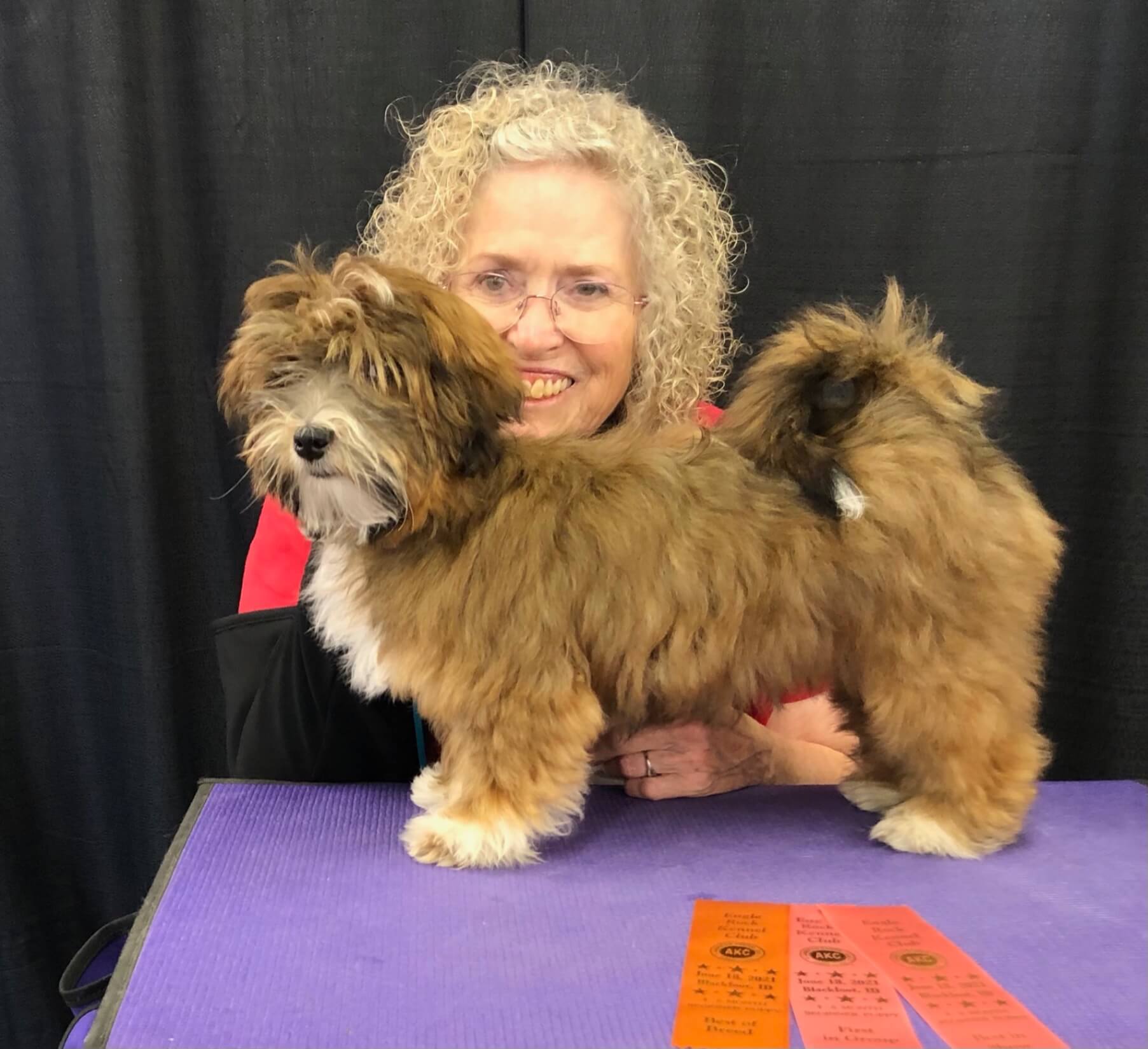 Levi Levi, Havanese