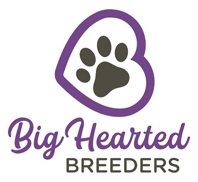 Big Hearted Breeders logo