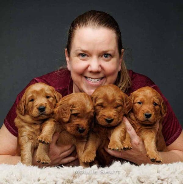 Heather Gibson of Big Hearted Breeders holding 4 puppies Mini Golden Retriever puppies