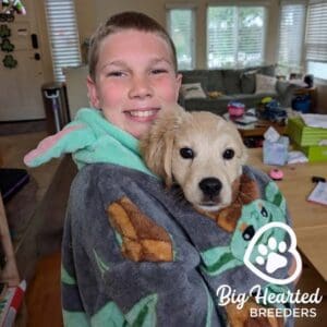 Young boy holding a mini Golden Retriever in a blanket