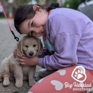 Young girl hugging a small golden retriever puppy