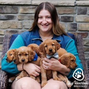 Woman with five mini golden retrievers on her laps