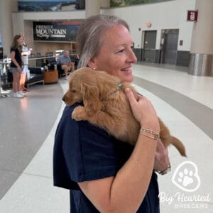 Woman hugging a mini Golden Retriever puppy