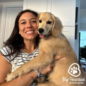 Woman holding her full grown mini Golden Retriever on her laps