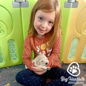 Young girl holding a mini Golden Retriever puppy in her arms