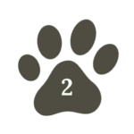 step 2