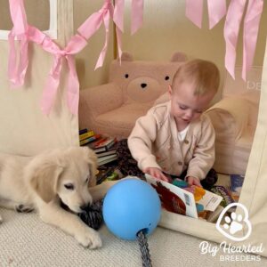Puppy playing with a baby, a great socialization exercise that builds emotional resilience in your dog