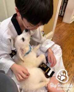 Young boy sitting down with a puppy on his laps