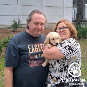 Couple holding their new puppy, ready to meet new people and pets