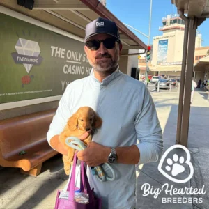 New dog dad carrying his mini Golden puppy in his arms